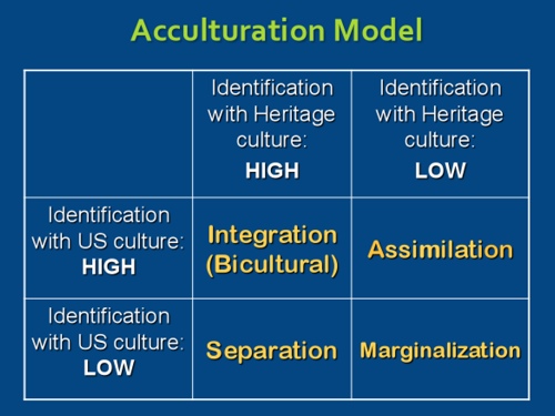 4 acculturation strategies - Hoai-Thu Truong PhD, Palo Alto CA